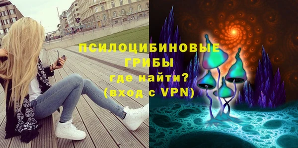 ГАЛЛЮЦИНОГЕННЫЕ ГРИБЫ Артём