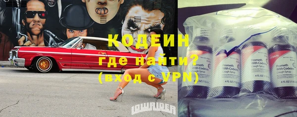 ГАЛЛЮЦИНОГЕННЫЕ ГРИБЫ Алагир