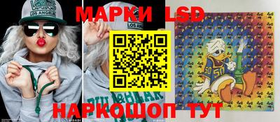 гидропоника Донской