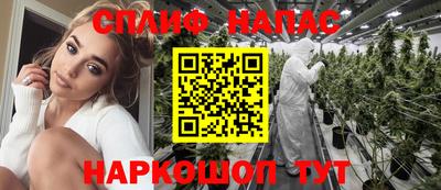 гидропоника Дубна