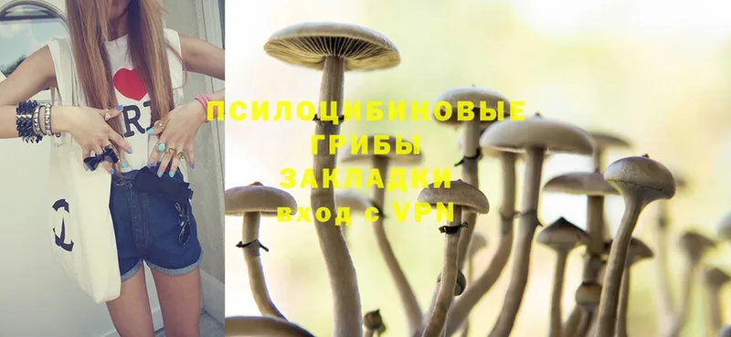 Галлюциногенные грибы Cubensis  Урюпинск 