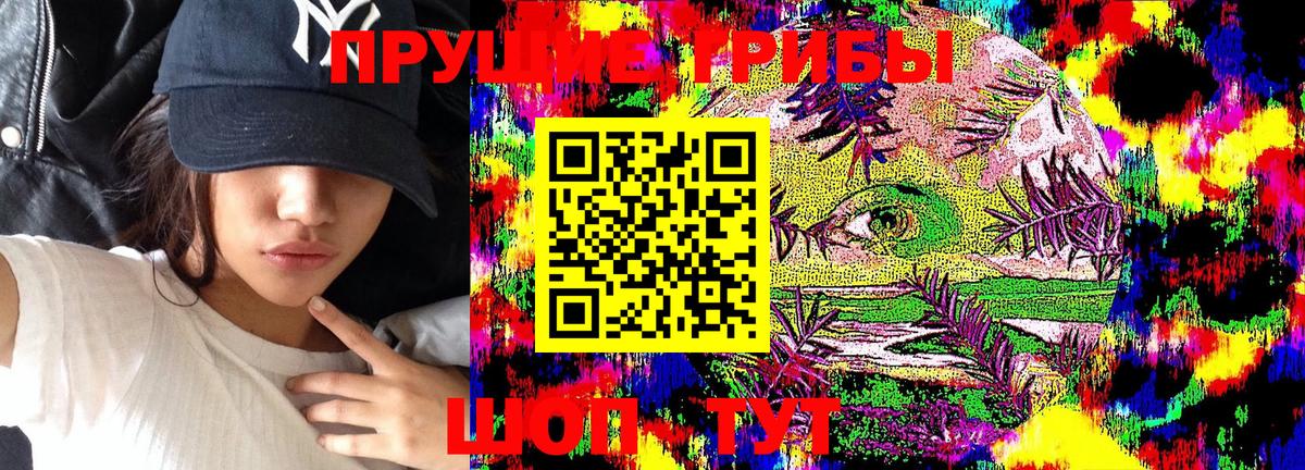 Галлюциногенные грибы Cubensis Урюпинск